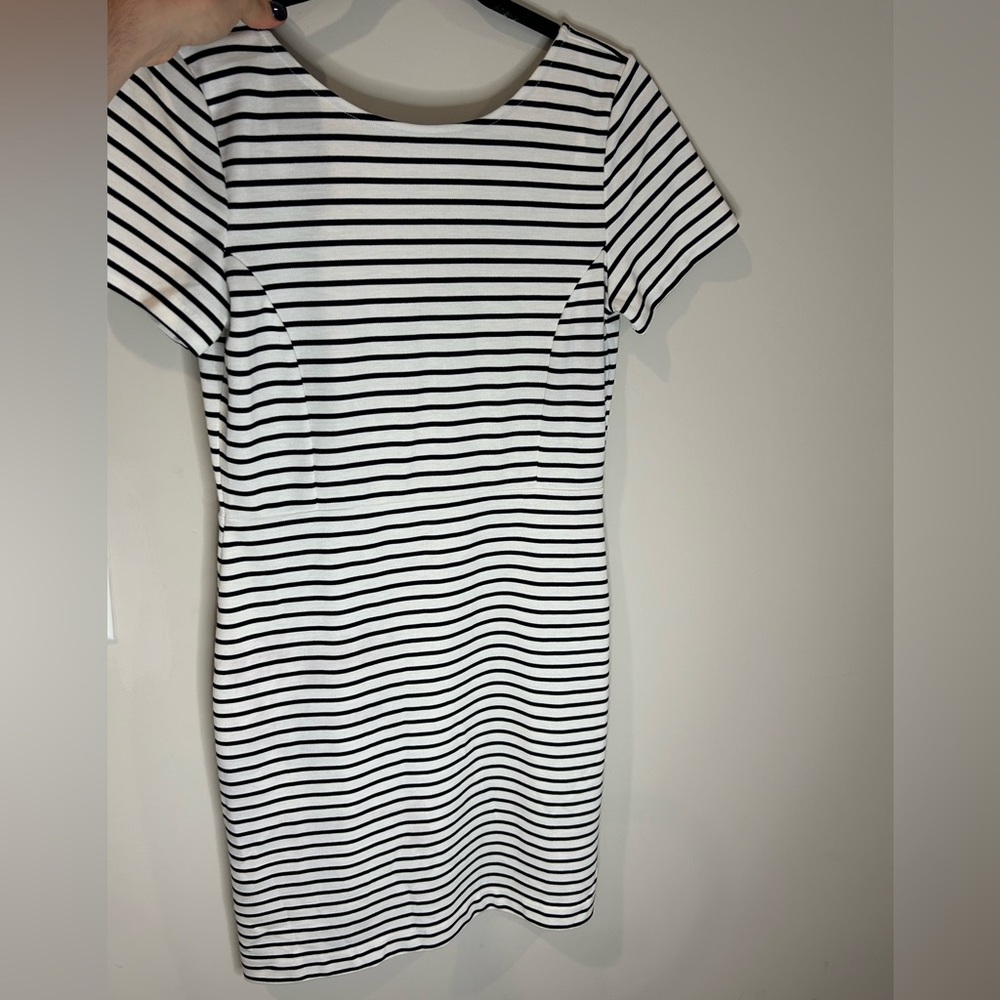 Banana Republic Striped Dress